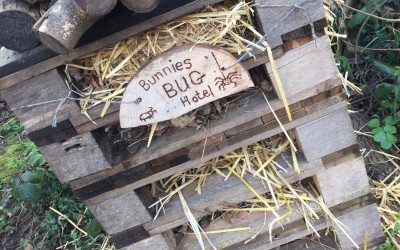 A word from the woods!!