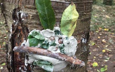 “Piggy” clay faces at Forest school