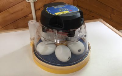 We have had an exciting delivery!!!!!