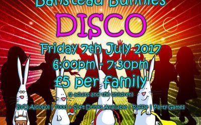 Fundraising Bunnies Disco!